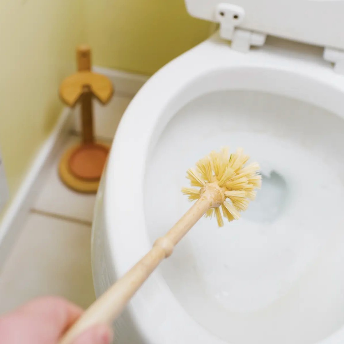 sustainable, zero waste, earth-friendly, plastic-free Toilet Brush - Bamboo Switch